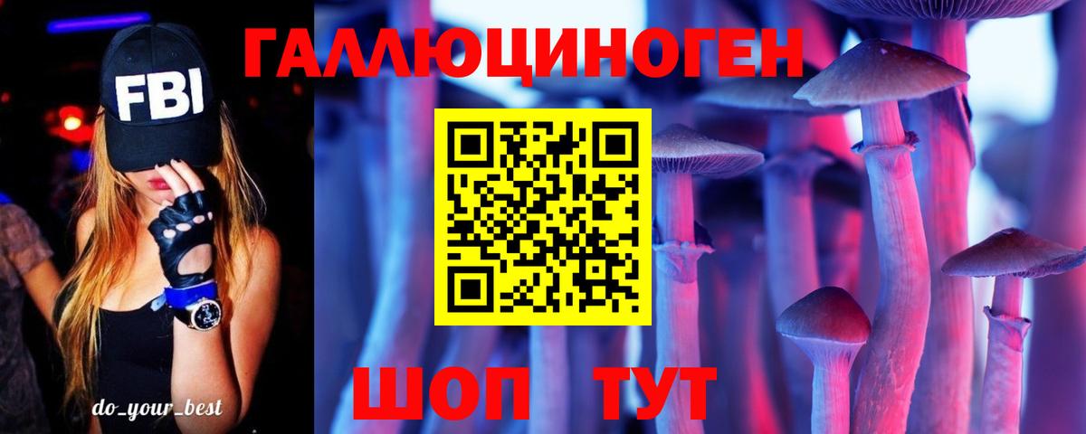 Псилоцибиновые грибы Psilocybe  Псилоцибиновые грибы ЛСД  Южноуральск  где купить наркоту  Вход с VPN 